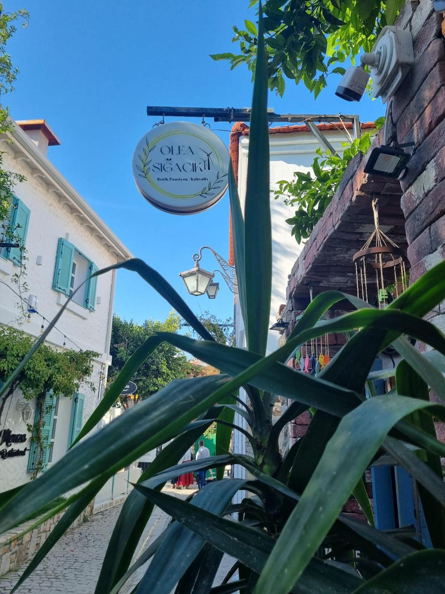 Olea Sigacik Pansiyon & Bistro Seferihisar Eksteriør bilde
