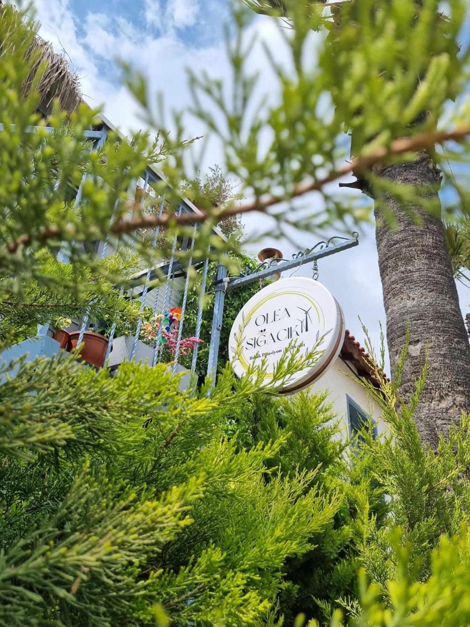 Olea Sigacik Pansiyon & Bistro Seferihisar Eksteriør bilde